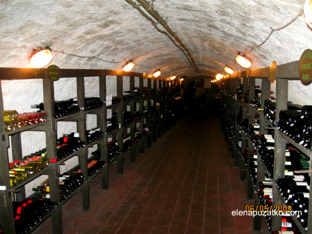 музей вина чим відома угорщина фото 1