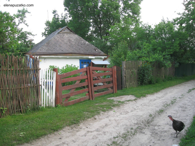 київська область відпочинок зелений туризм богуслав фото 7